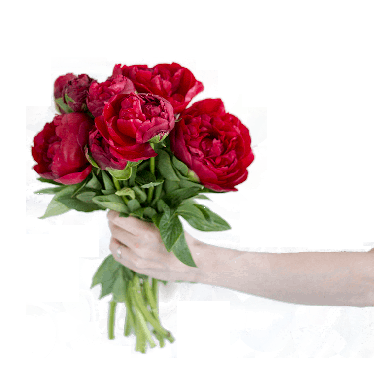 Send Flowers to Beirut, Lebanon Same Day Delivery Arabi Flowers